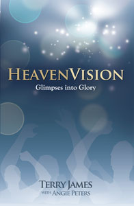 HeavenVision cover